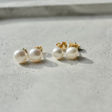 Pearl Stud Earrings