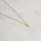 Mini Horn Necklace